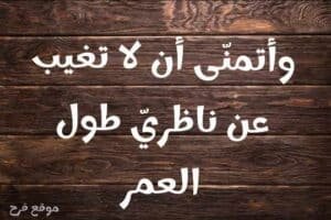 Read more about the article رسائل حب و شوق