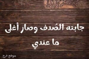 Read more about the article عبارات حب و رومنسية