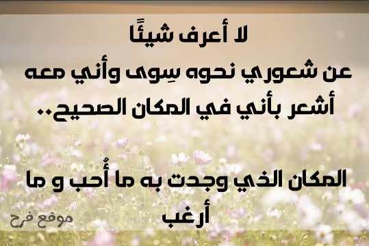 Read more about the article عبارات عشق