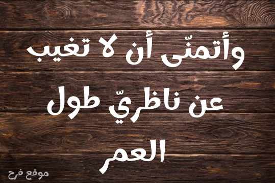 Read more about the article كلمات عشق قوية