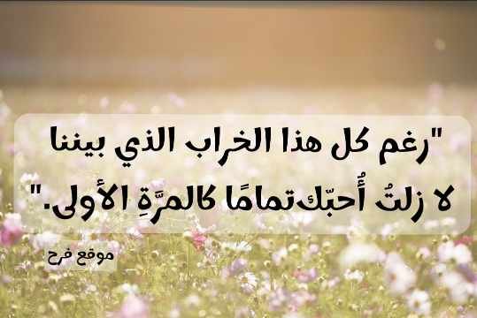 Read more about the article كلمات عشق تدخل القلب